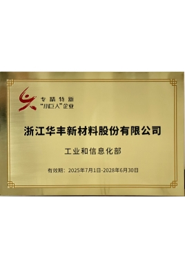 專精特新“小巨人”企業(yè)